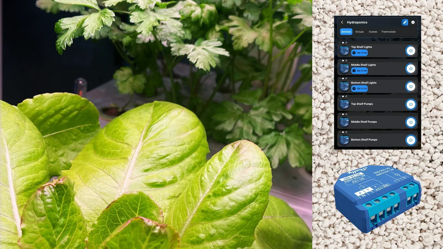 Retrofitting a Failing Hydroponic System with Shelly