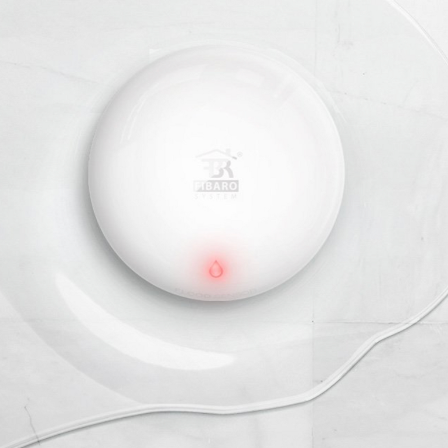 
                  
                    Fibaro Flood Sensor
                  
                